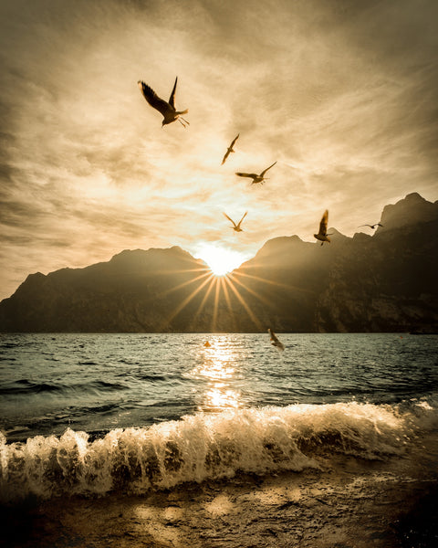 Lake Garda Wall Art