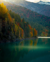 Lake Sauris Autumn Wall Art