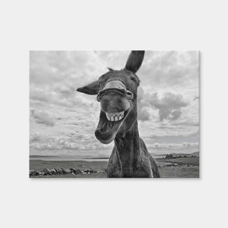 AUTO-MOCKUP WHITE | Laughing Donkey | 1 Piece | Gallery Wrap Canvas | group=4x3