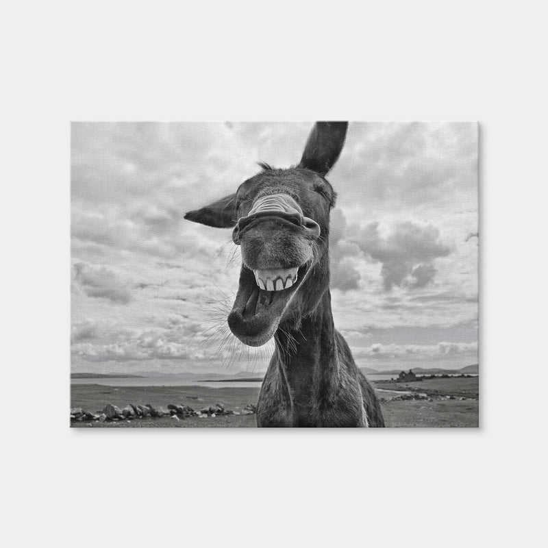 AUTO-MOCKUP WHITE | Laughing Donkey | 1 Piece | Gallery Wrap Canvas | group=4x3