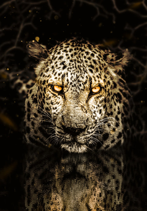 Leopard Wall Art