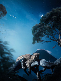 Leopard in the Night Wall Art