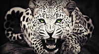 Leopard with Green Eyes Wall Art