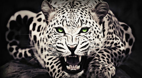 Leopard with Green Eyes Wall Art