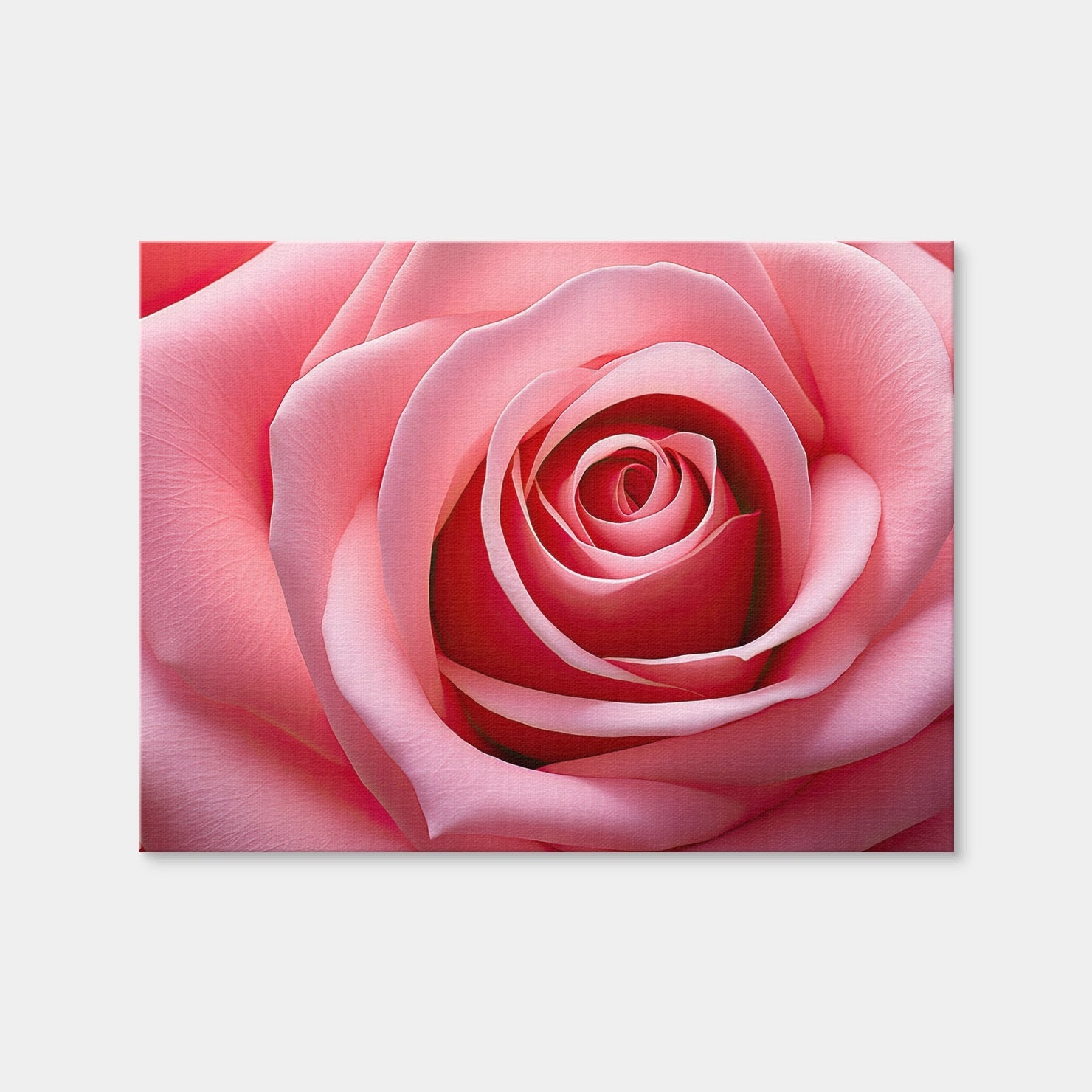 AUTO-MOCKUP WHITE | Light Pink Rose | 1 Piece | Gallery Wrap Canvas | group=4x3