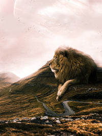 Lion Road Wall Art