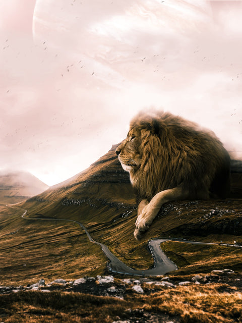 Lion Road Wall Art
