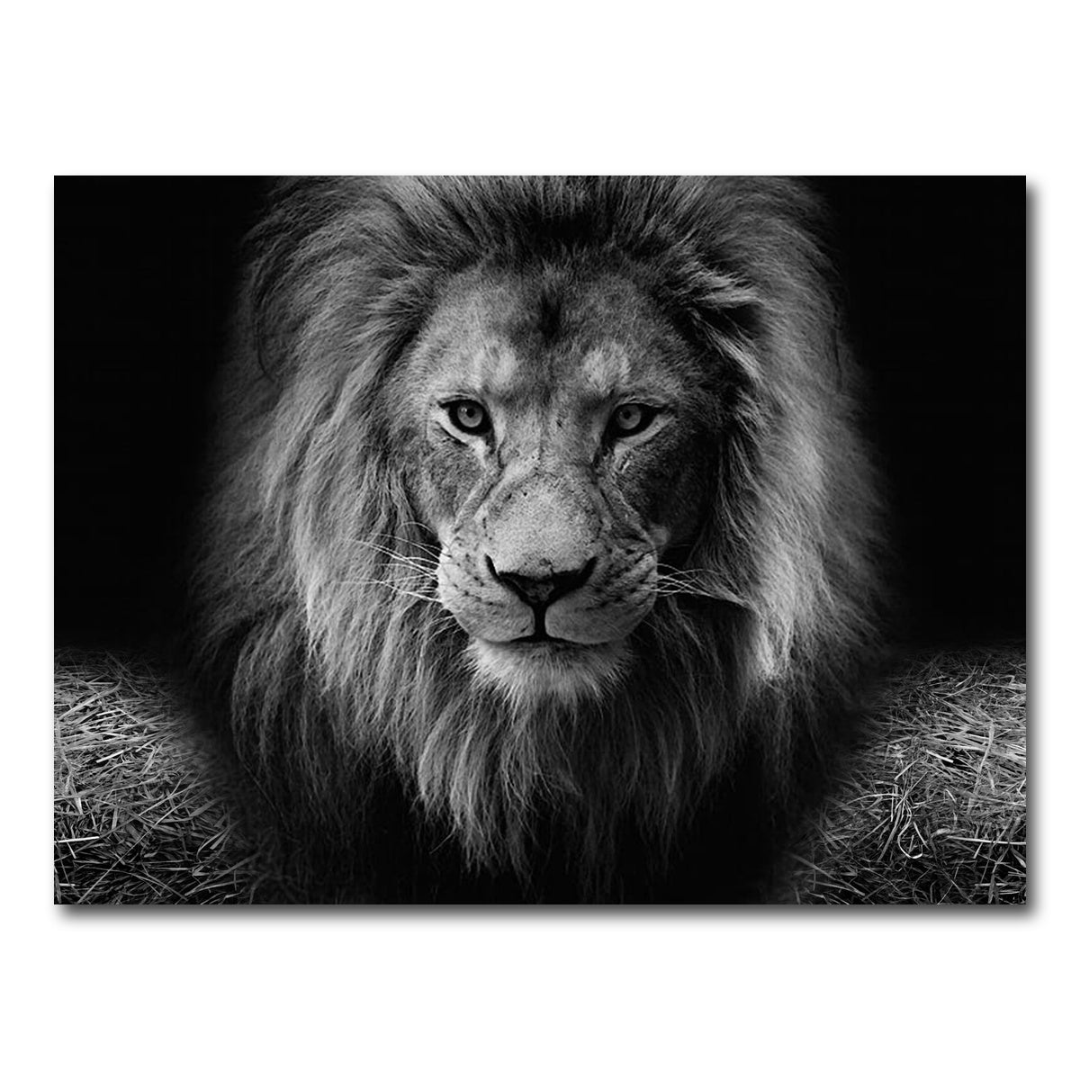 AUTO-MOCKUP WHITE | Lion head | 1 Piece | Gallery Wrap Canvas | group=4x3
