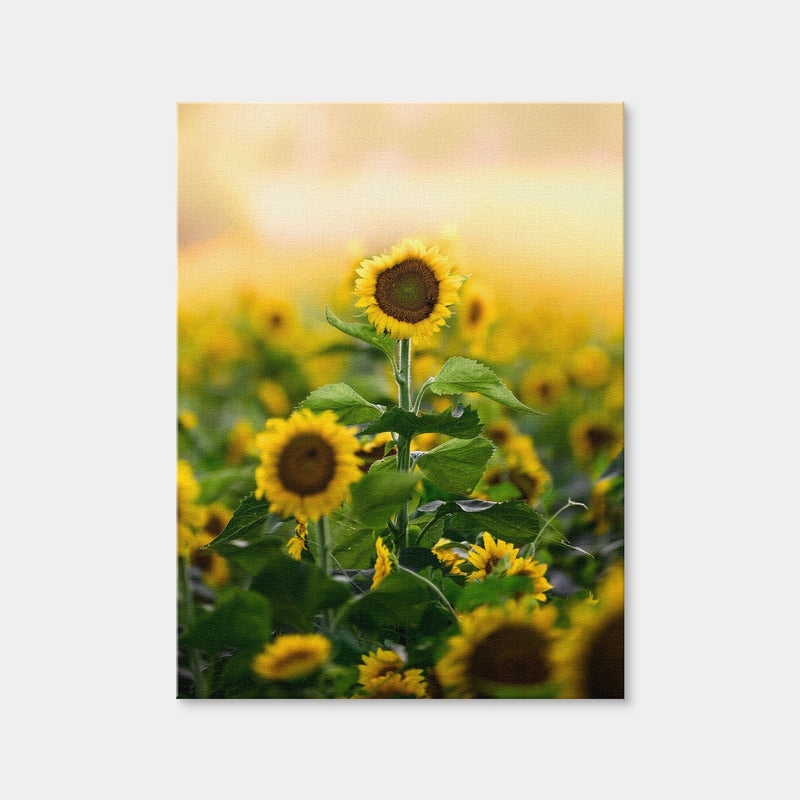 AUTO-MOCKUP WHITE | Lone Flower | 1 Piece | Gallery Wrap Canvas | group=3x4