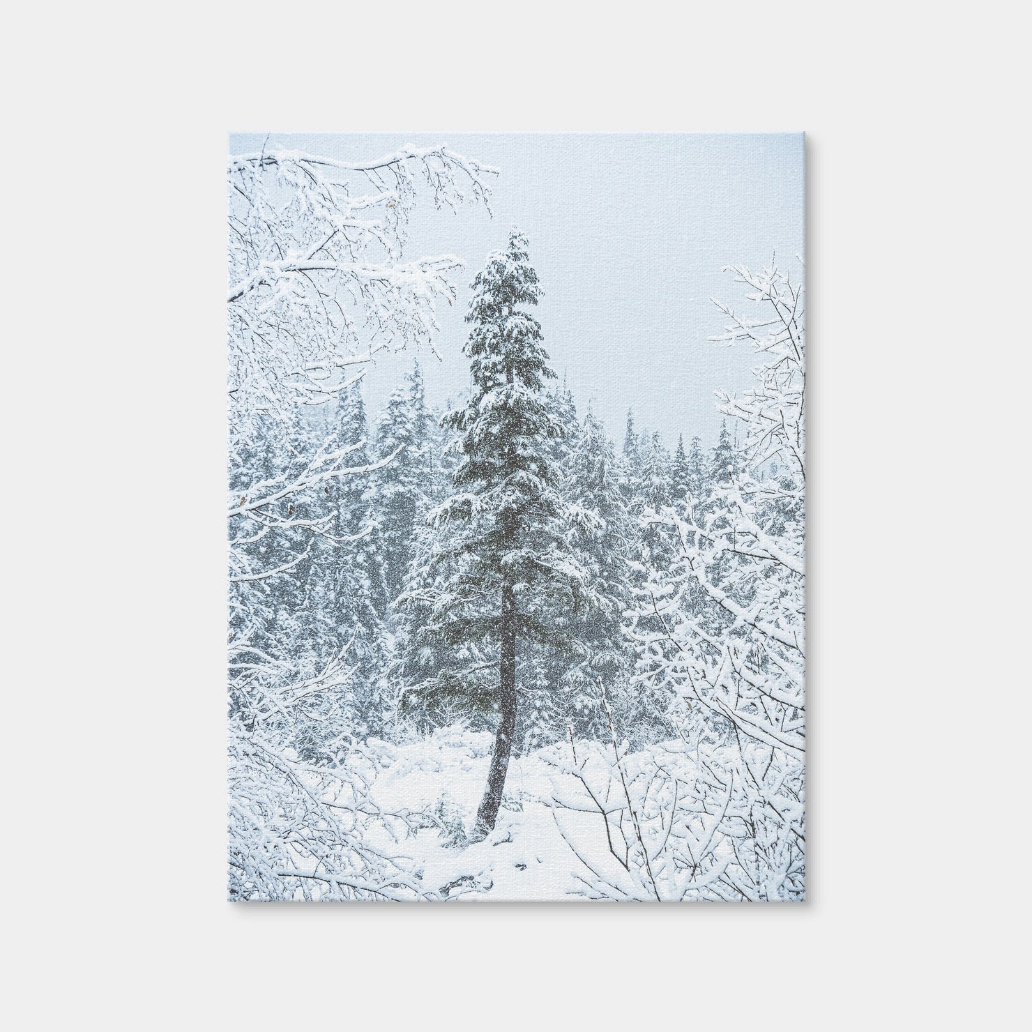 AUTO-MOCKUP WHITE | Lone Tree | 1 Piece | Gallery Wrap Canvas | group=3x4