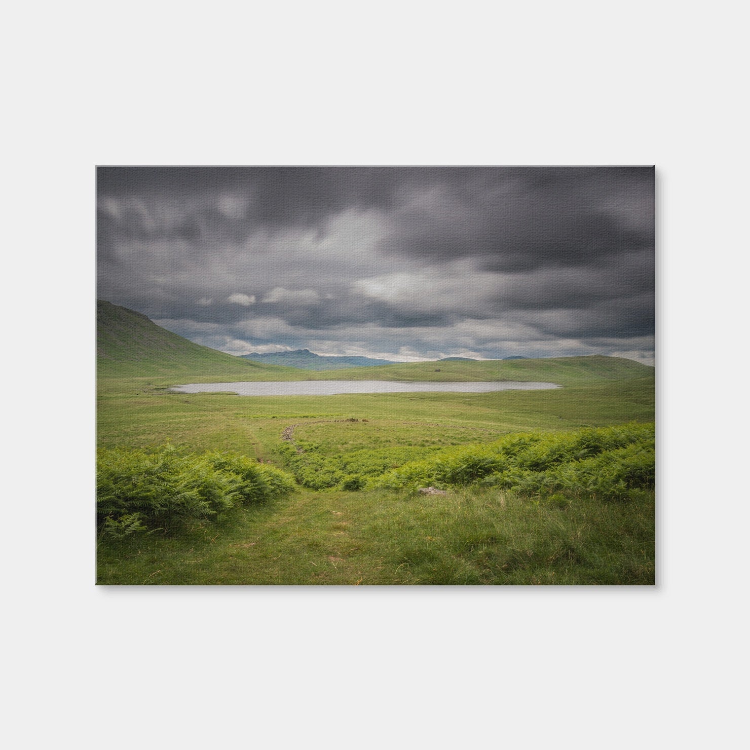 AUTO-MOCKUP WHITE | Lonely Pond | 1 Piece | Gallery Wrap Canvas | group=4x3