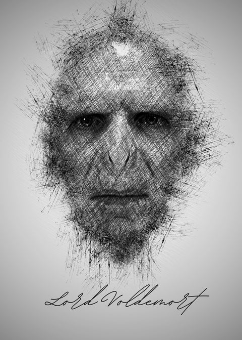 Lord Voldemort Wall Art