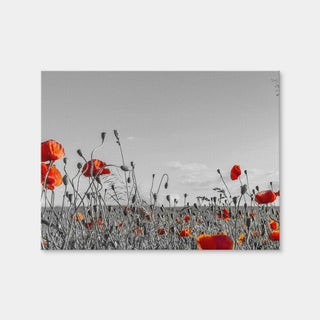 AUTO-MOCKUP WHITE | Lovely Poppy Field | 1 Piece | Gallery Wrap Canvas | group=4x3