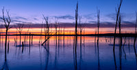 Manasquan Reservoir Wall Art