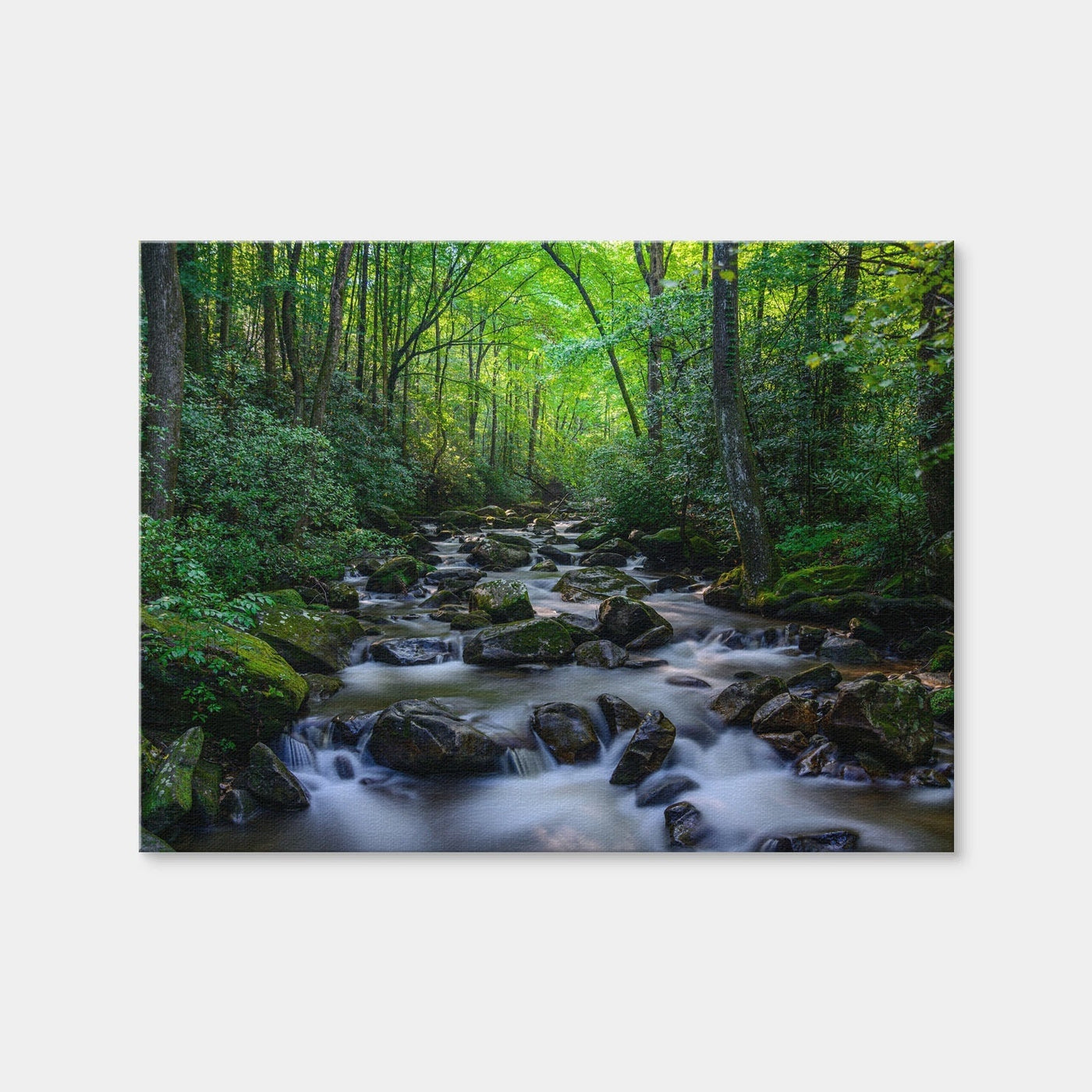 AUTO-MOCKUP WHITE | Mariatta South Carolina | 1 Piece | Gallery Wrap Canvas | group=4x3