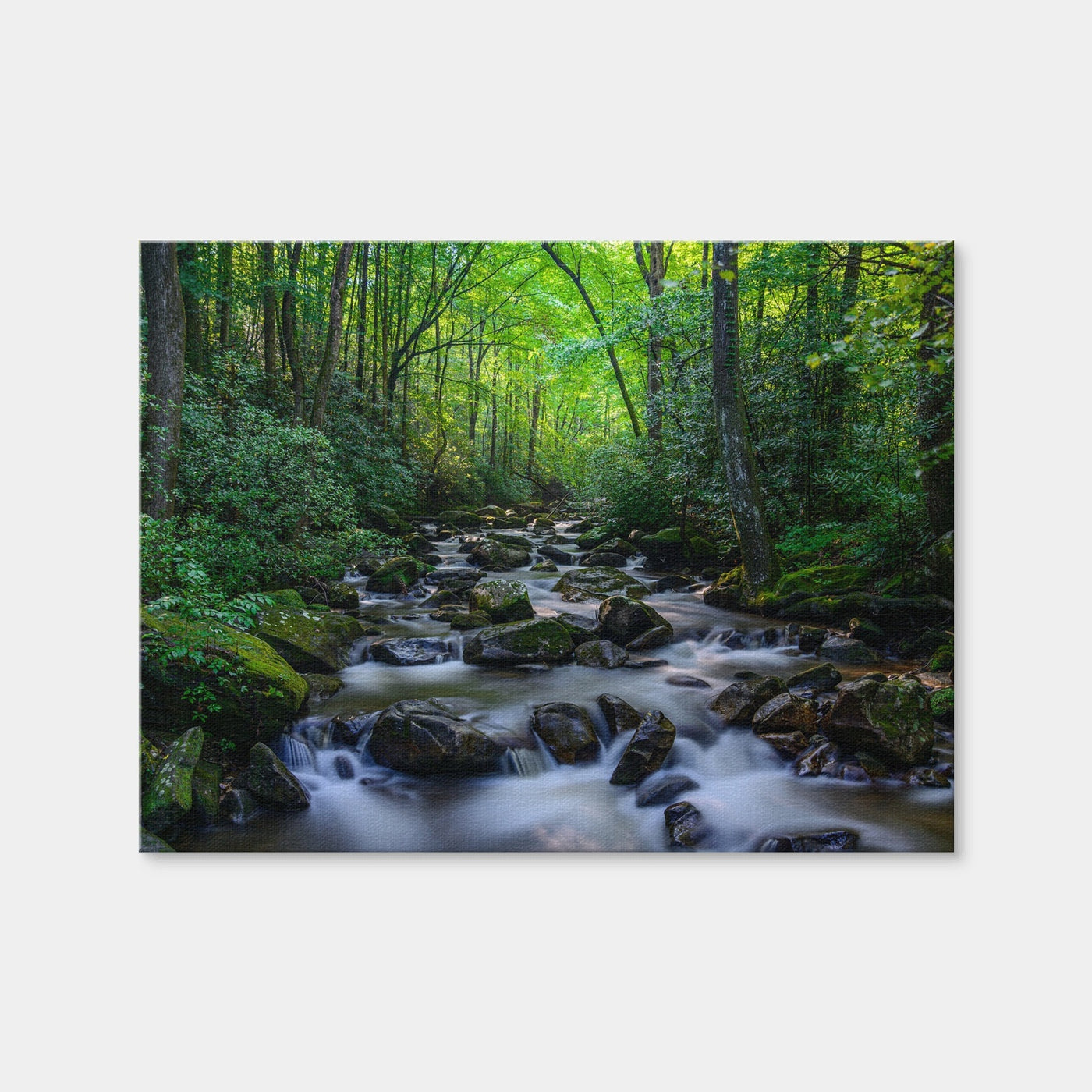 AUTO-MOCKUP WHITE | Mariatta South Carolina | 1 Piece | Gallery Wrap Canvas | group=4x3