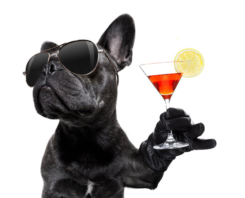 Martini Dog Wall Art