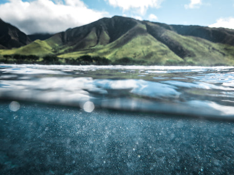 Maui Land and Sea Wall Art