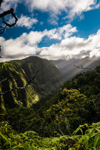 Maui Landscape Wall Art