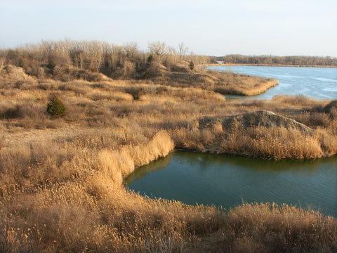 Mazonia Braidwood State Fish and Wildlife Area Wall Art