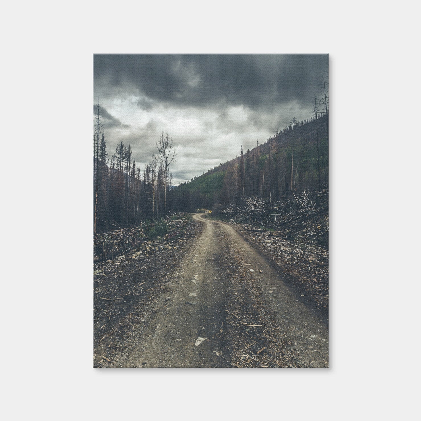 AUTO-MOCKUP WHITE | Meachen FSR | 1 Piece | Gallery Wrap Canvas | group=3x4