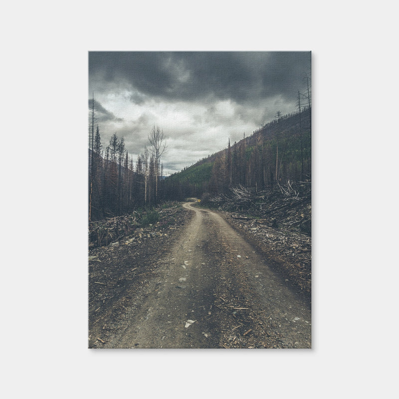 AUTO-MOCKUP WHITE | Meachen FSR | 1 Piece | Gallery Wrap Canvas | group=3x4