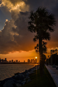 Miami Sunset Wall Art