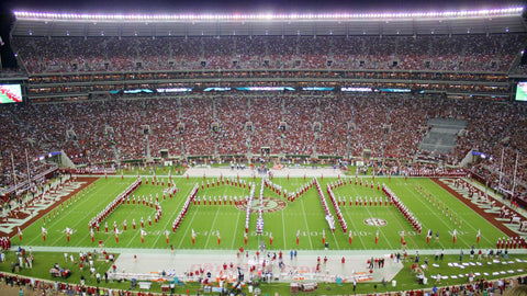 Million Dollar Band - Bryant Denny Stadium Wall Art
