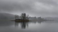 Misty Mornings Wall Art