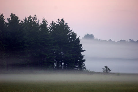 Misty Wisconsin Morning Castle Rock Lake Wall Art