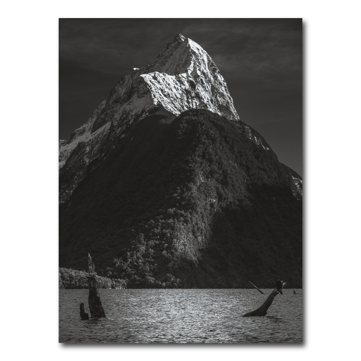 AUTO-MOCKUP WHITE | Mitre 10 | 1 Piece | Gallery Wrap Canvas | group=3x4