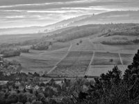Moody Hills Wall Art