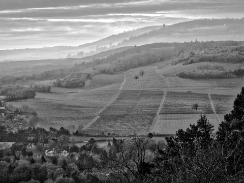 Moody Hills Wall Art