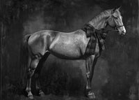 Moody Horse Grayscale Wall Art