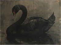 Moody Swan Wall Art