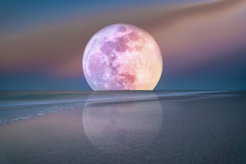 Moon Rise Wall Art