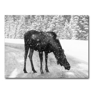 AUTO-MOCKUP WHITE | Moose | 1 Piece | Gallery Wrap Canvas | group=4x3