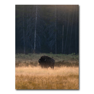 AUTO-MOCKUP WHITE | Morning Graze | 1 Piece | Gallery Wrap Canvas | group=3x4