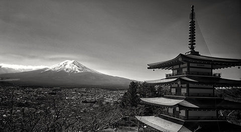 Mount Fuji Grayscale Wall Art