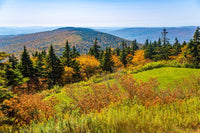 Mount Greylock Summit Wall Art
