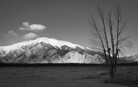 Mount Princeton Black and White Wall Art