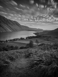 Mountain Fields Wall Art