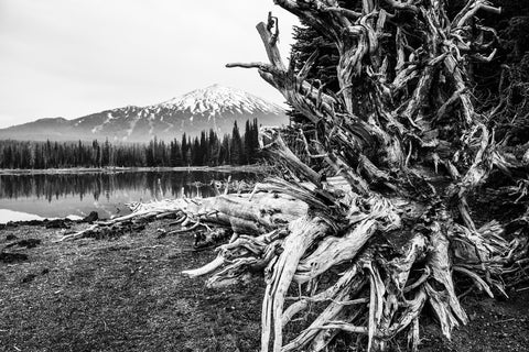 Mt. Bachelor - Sparks Lake Wall Art