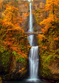 Multnomah Falls - Autumn Wall Art