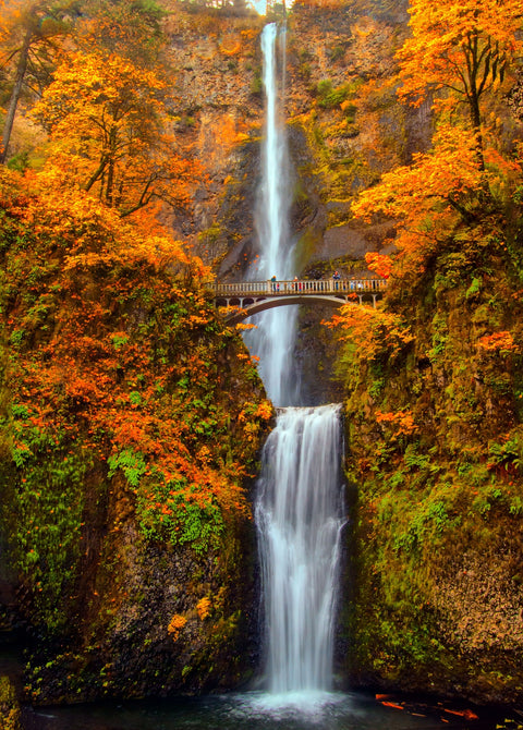 Multnomah Falls - Autumn Wall Art