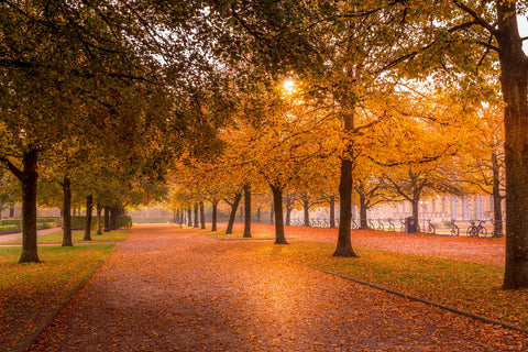 Munich Germany Wall Art