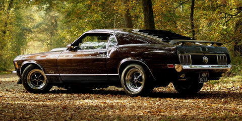 Mustang Wall Art