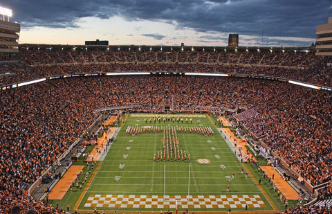 Neyland Stadium Wall Art