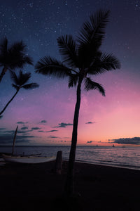 Night Wonder Wall Art