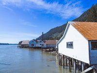 Northern BC Cannary Wall Art